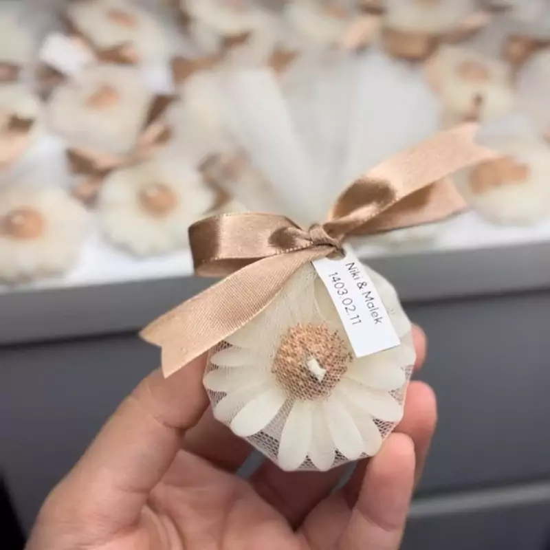 گیفت گل بابونه